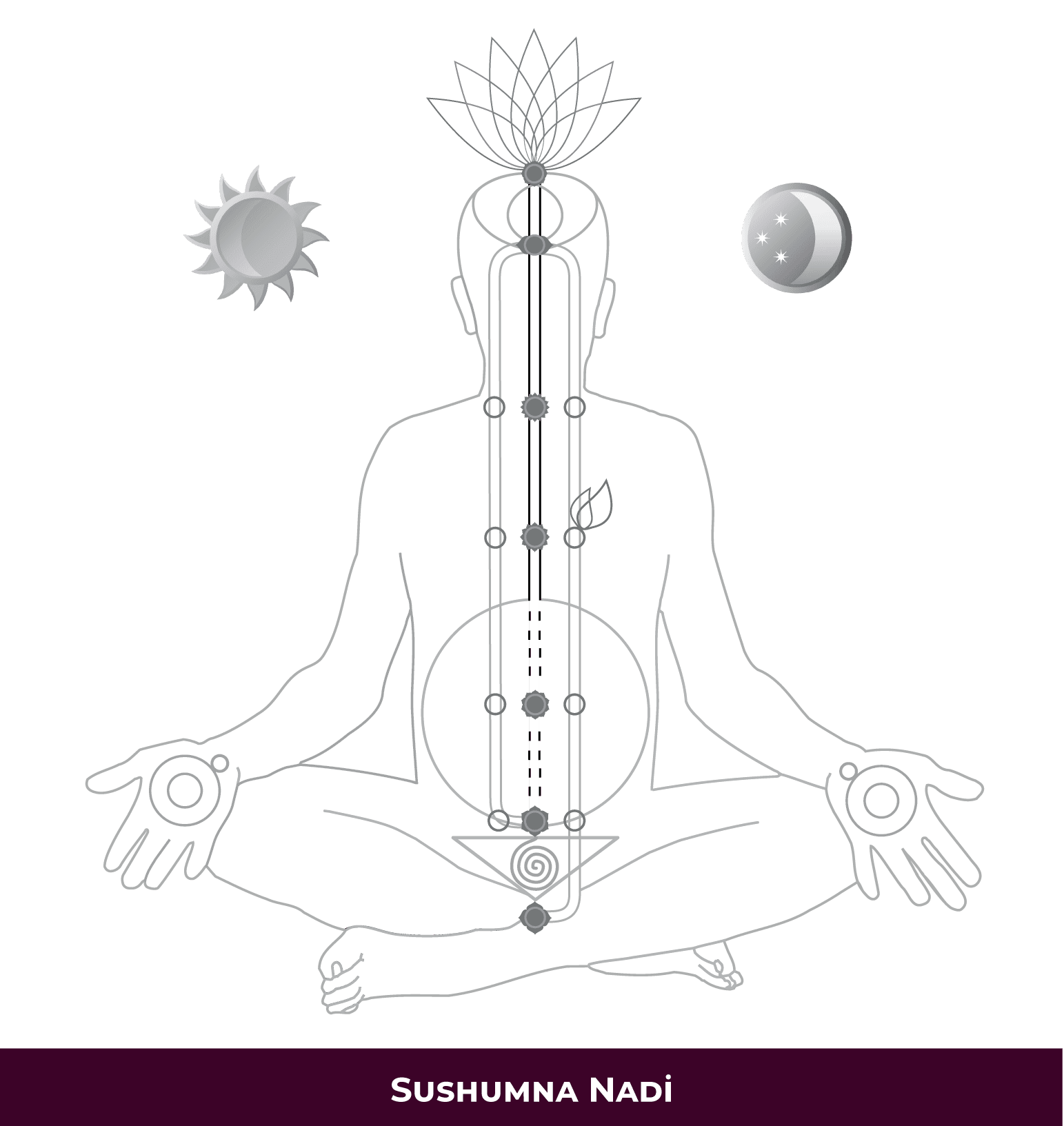 DE_Sushumna-Nadi