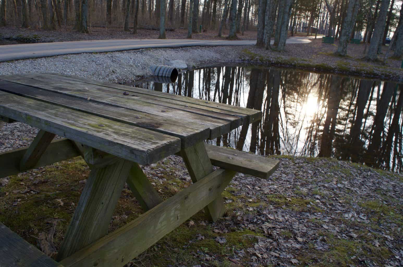 picnic table at Buffalo Trace Park