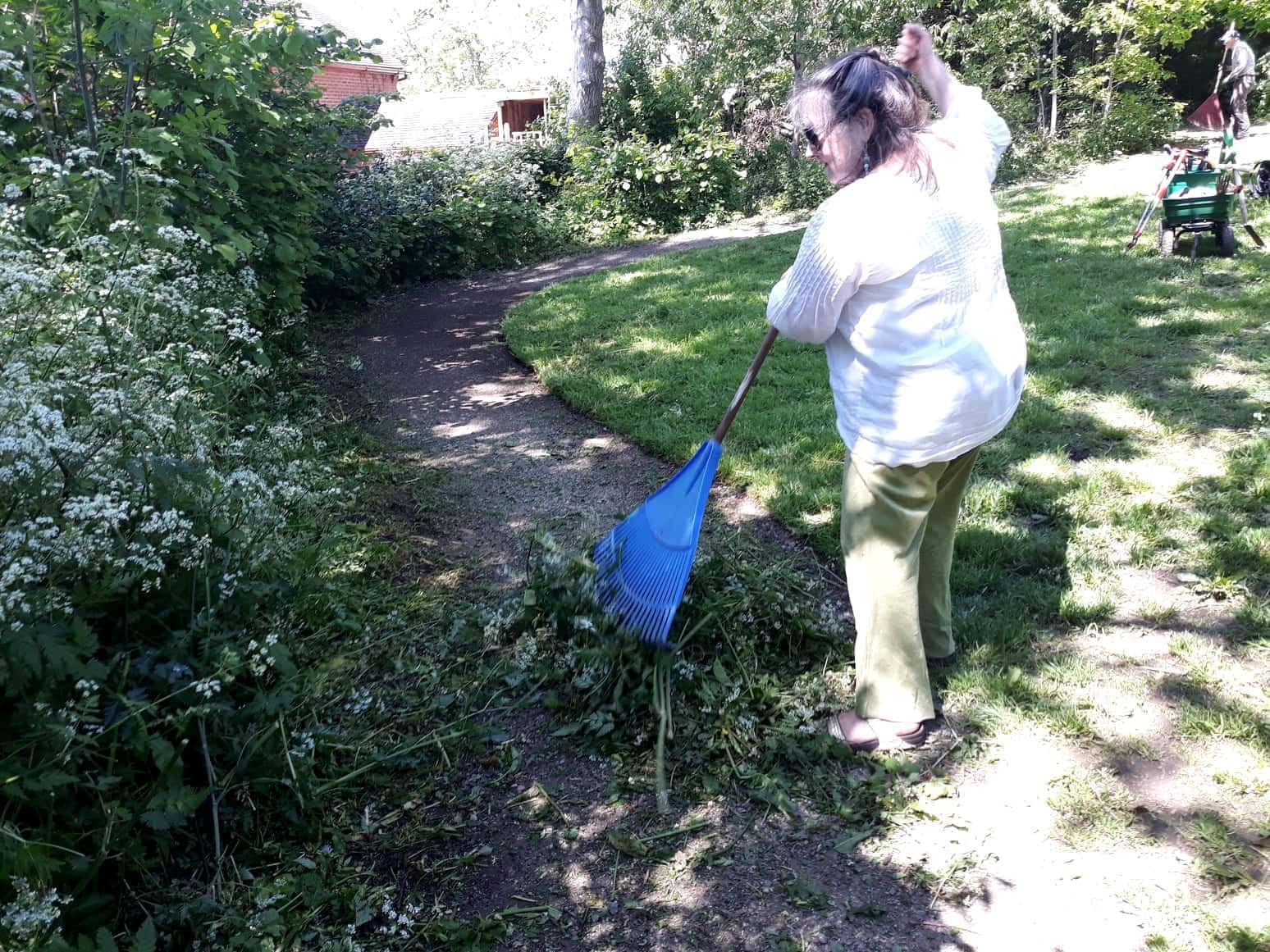 Working in Angus Wood 1 1