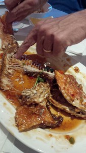 Moonstone Red Snapper After