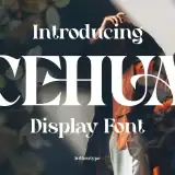 Cehua elegant serif font is a beautiful high contrast font.