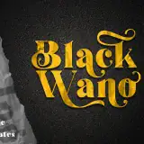 Black Wano - Retro Soft Serif