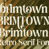 Brimtown - Retro Serif Font is a Serif font with a full set of uppercase and lowercase letters, multilingual symbols, numbers, punctuation, and ligatures.