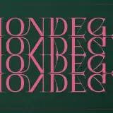 Mondega - Modern Serif Font with multi shapes and lines