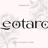 Leotaro brings Latin and Cyrillic Font to fulfill many functions of this Leotaro font.
