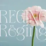 Reging Elegant Serif Font for Beauty Branding is an elegant serif typeface designed with clean strokes and refined details