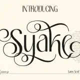 Syake is an beauty branding font