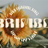 Brimbo - Modern Display Font AuthenType
