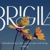 Brigila A High Contrast Serif