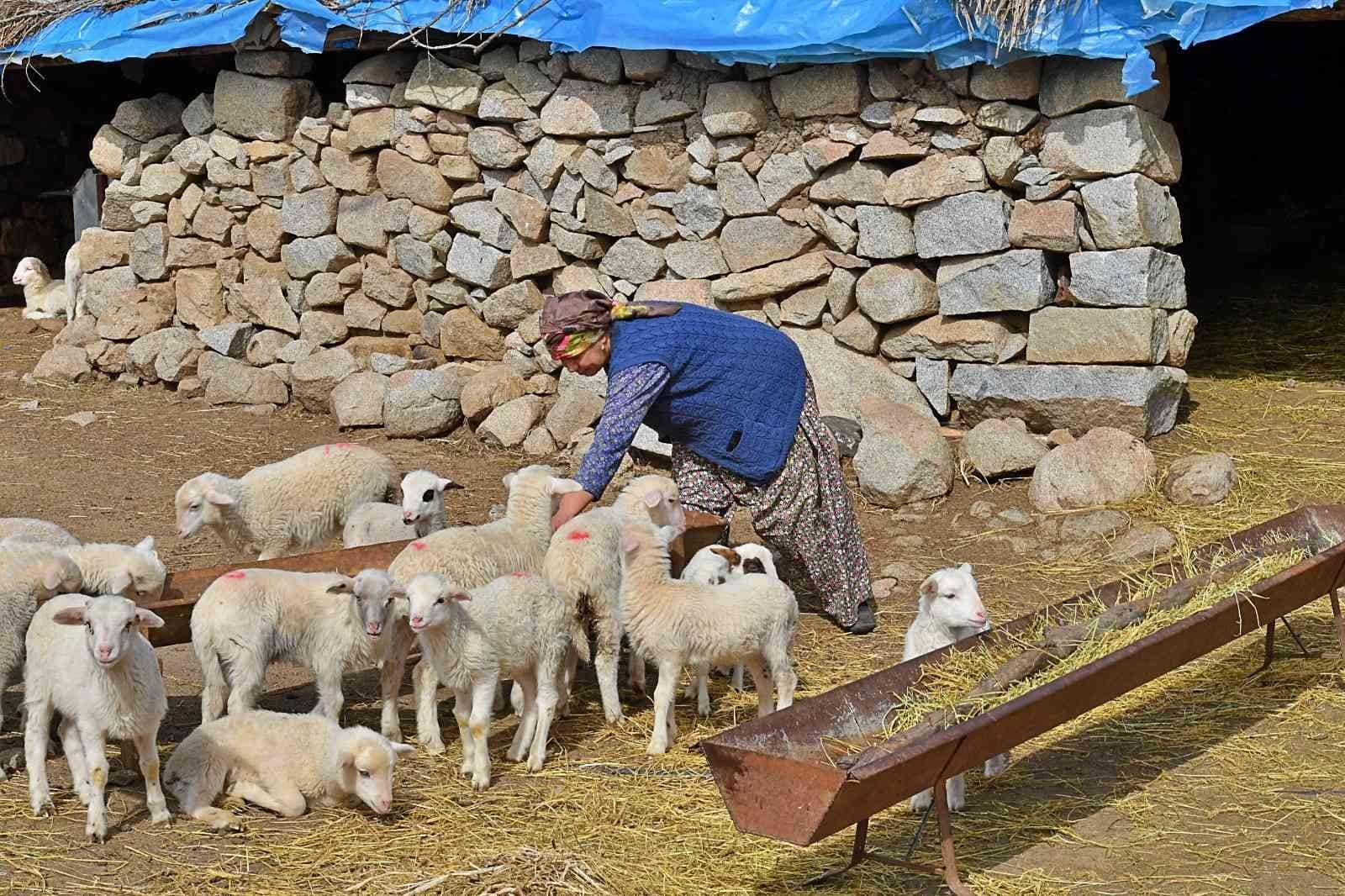 258 çobanla yüksek fiyattan süt alım anlaşması