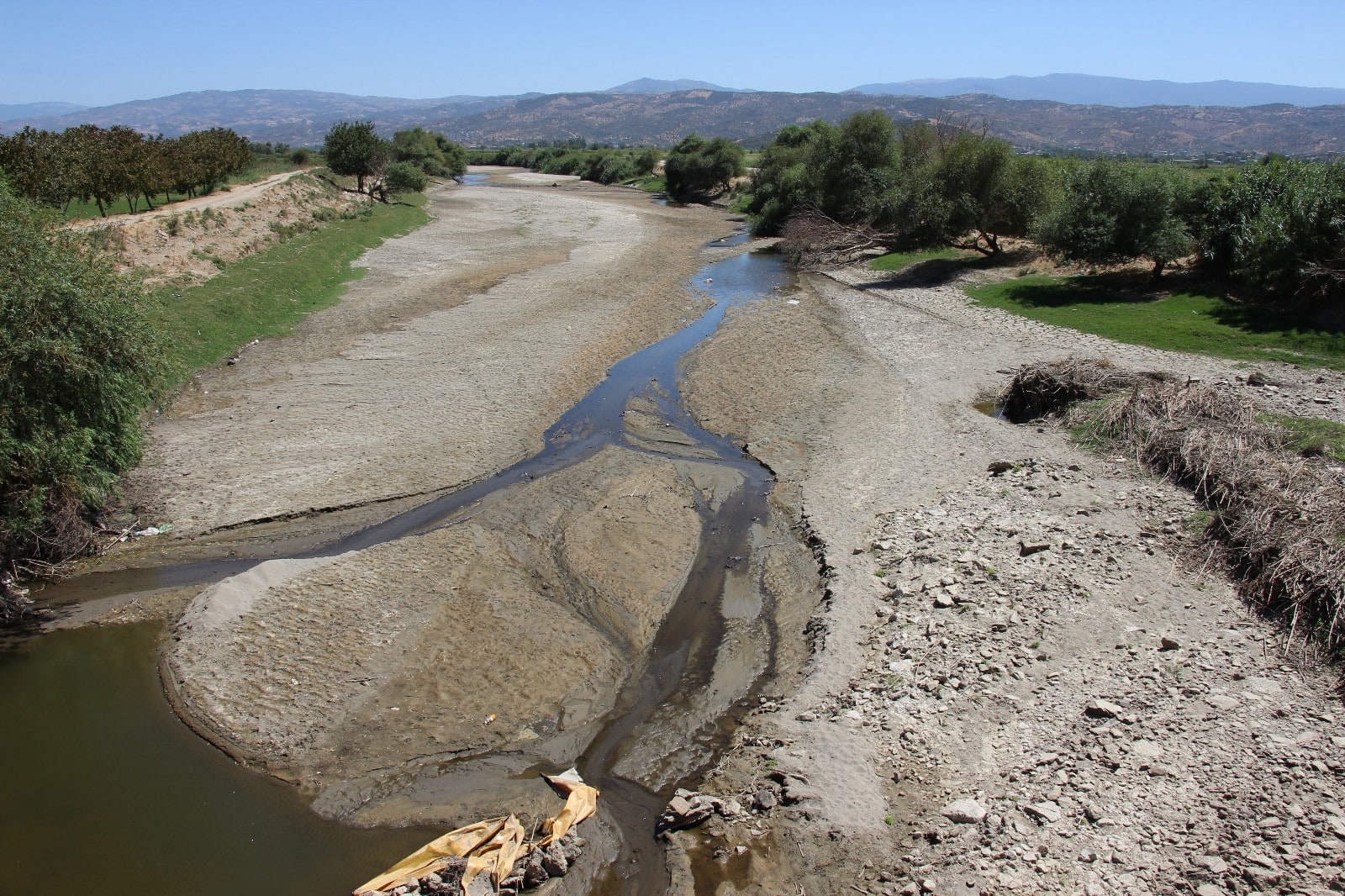Büyük Menderes Nehri kurudu, çiftçiler tedirgin