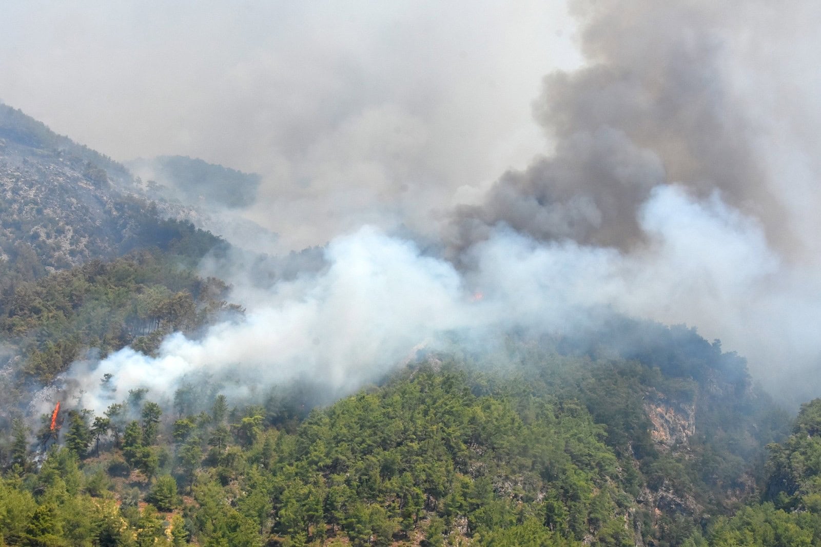 İspanyol yangın söndürme uçakları Köyceğiz’e müdahale ediyor