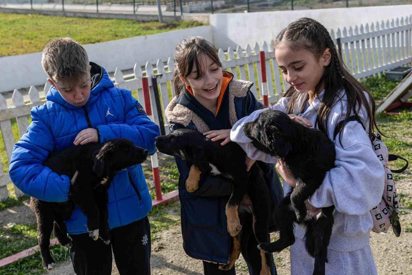 İzmir’de 2 bin 300 patili yuva bekliyor