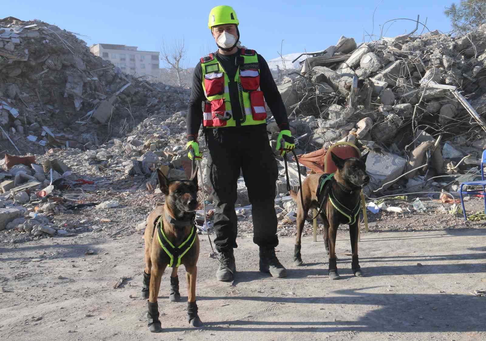 Kahraman köpekler: Asko ve Pia, 5 günde 10 kişiye ulaştı