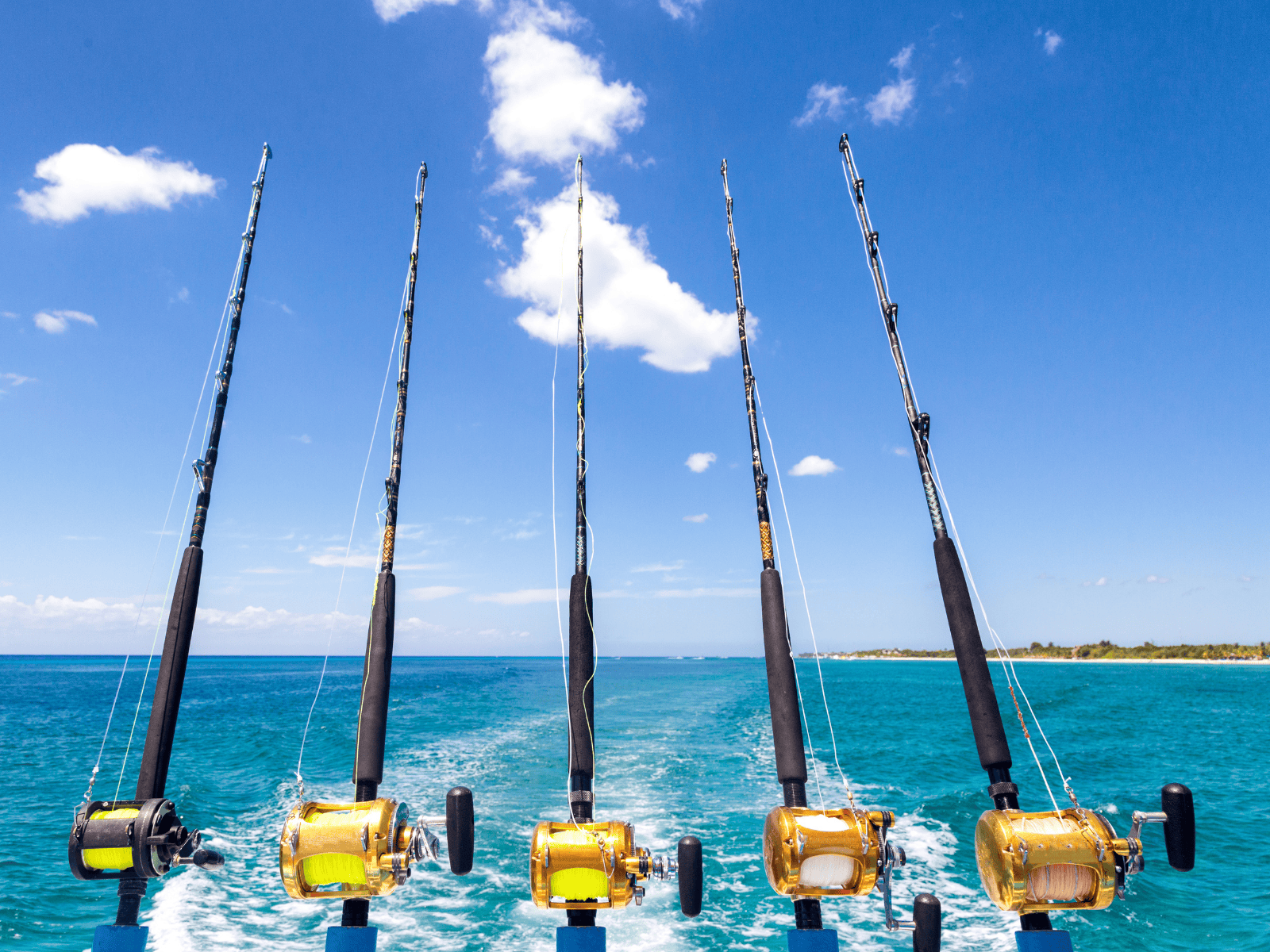 creaming reels fishing grand turk Screaming Reels Fishing Charters & Guest House - Grand Turk