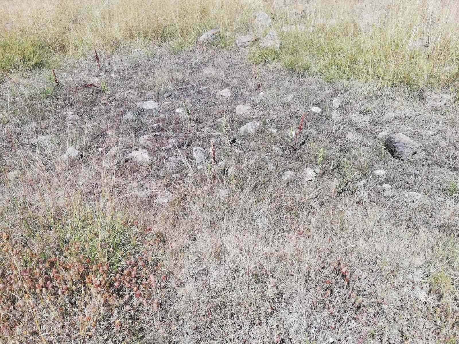 Cevizdere Şehitleri Gazileri Derneği kapatılma tehlikesiyle karşı karşıya