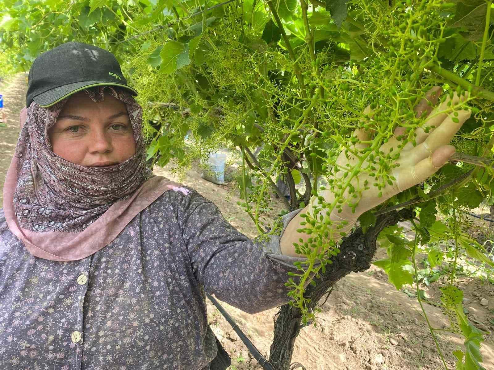 İhracat için salkım salkım mücadele