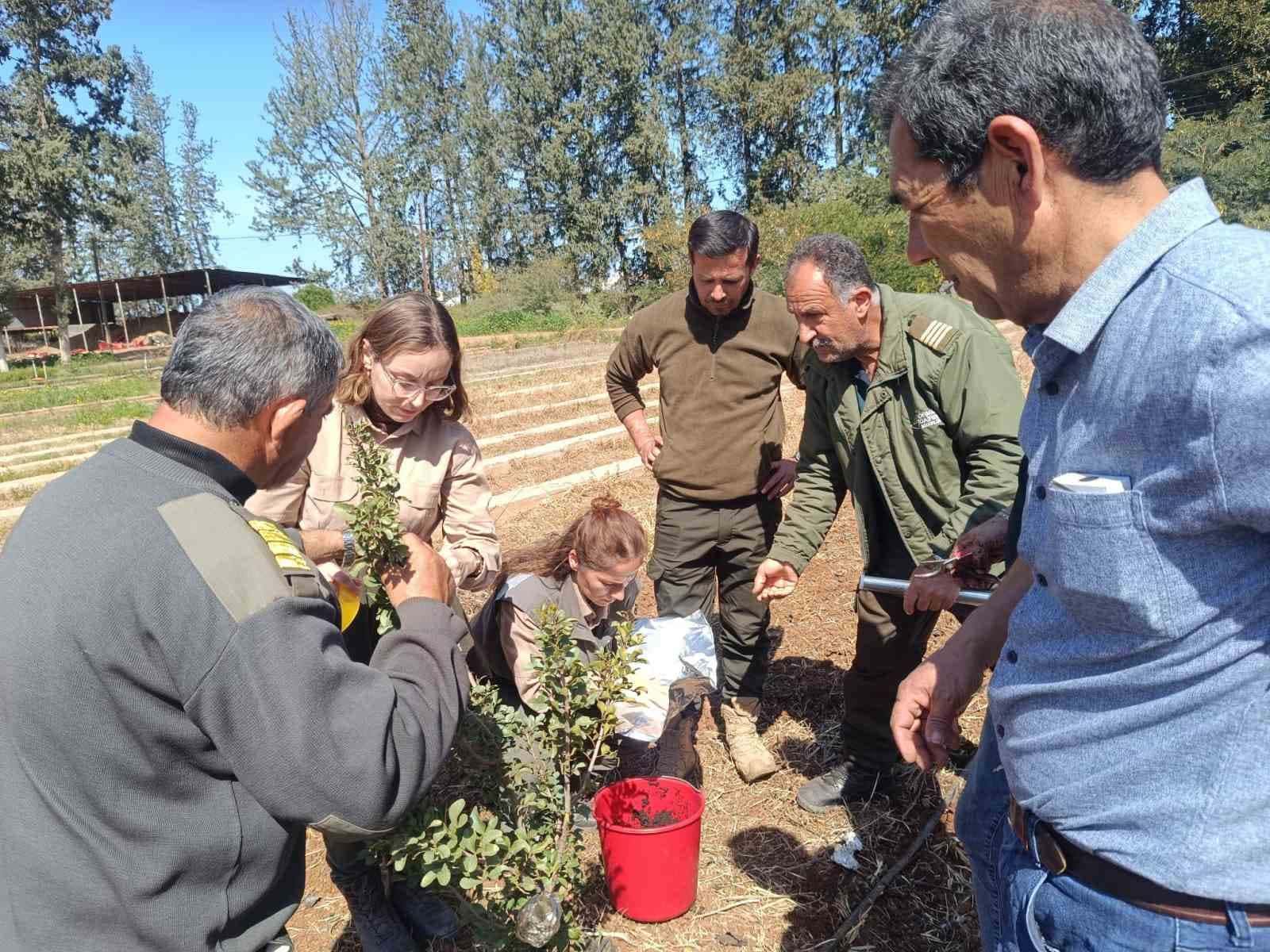 İzmir’in damla sakızı KKTC’de toprakla buluştu
