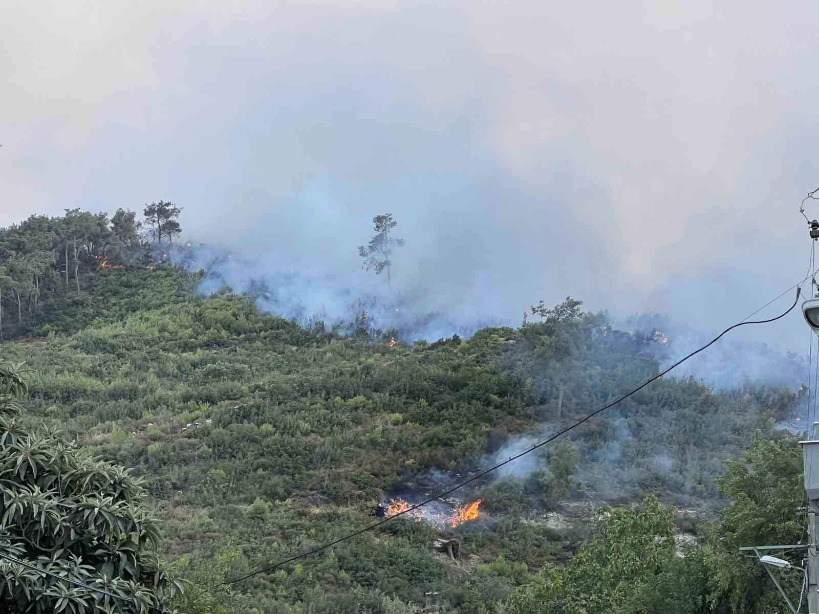 Manisa’daki orman yangınına müdahale devam ediyor