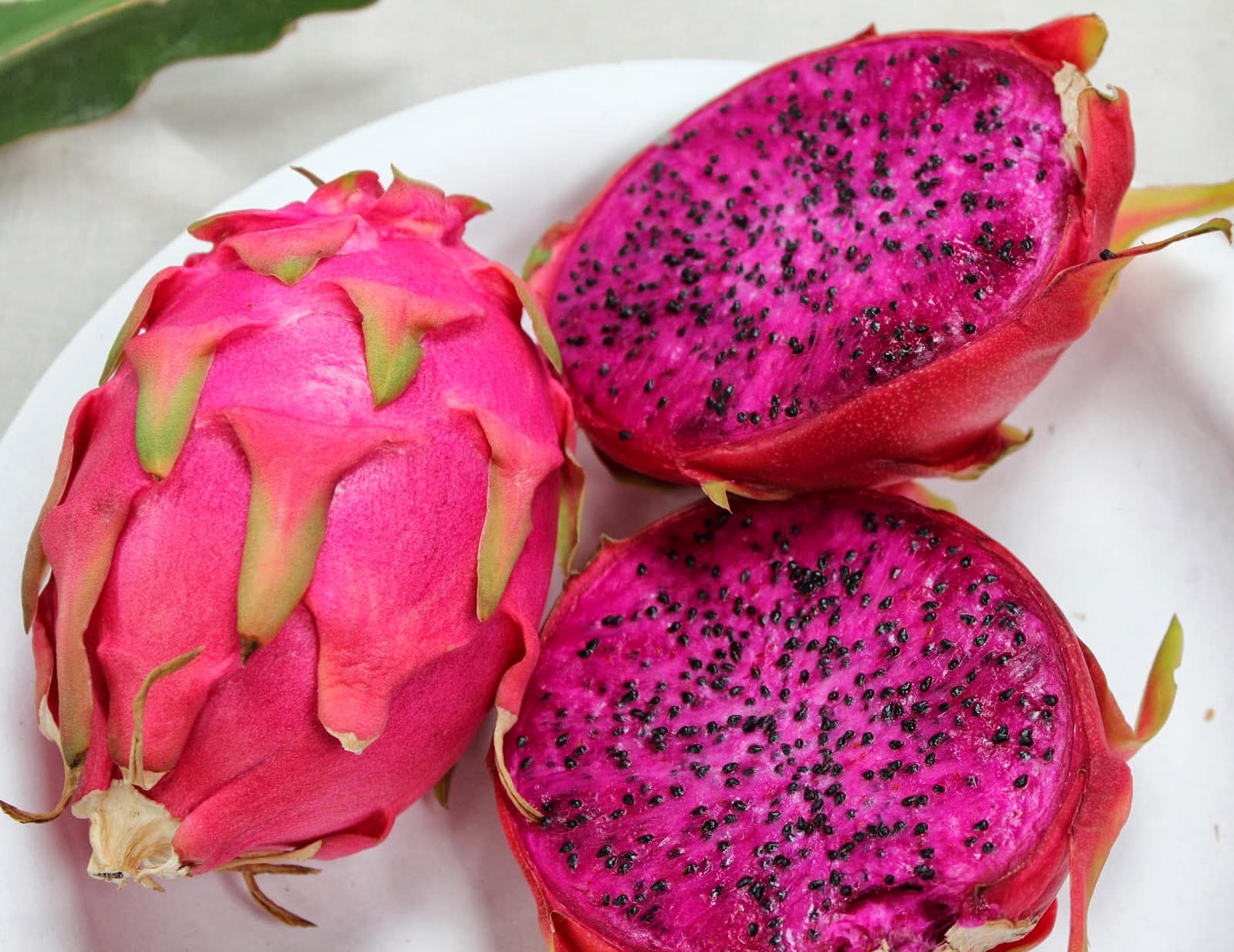 Rambut Kering? Atasi dengan Masker Buah Naga