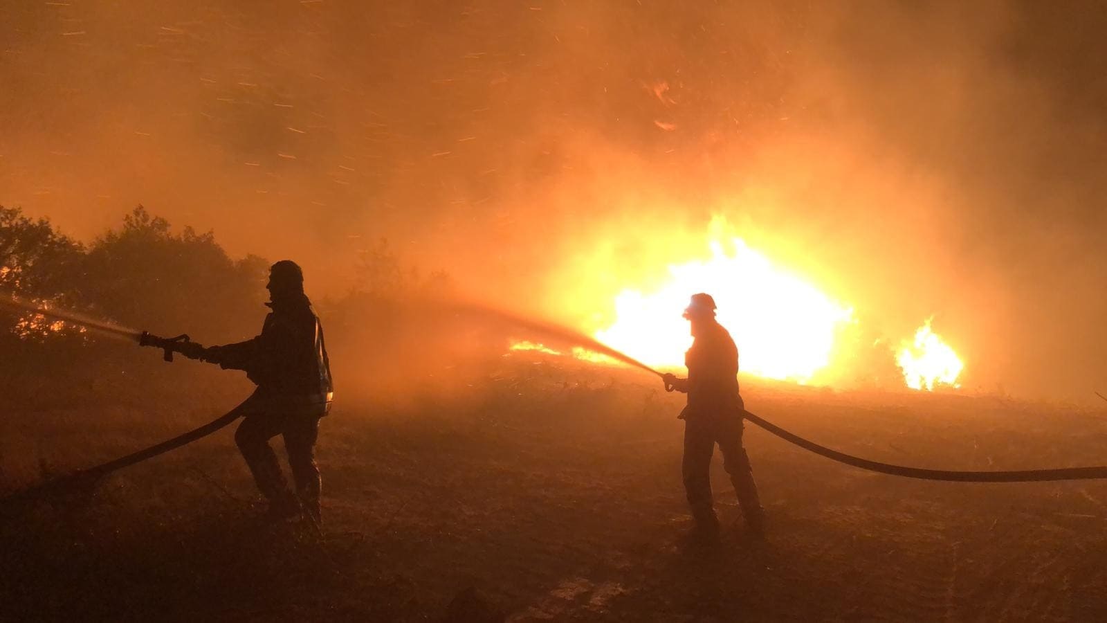 Manisa’daki orman yangını tamamen söndürüldü
