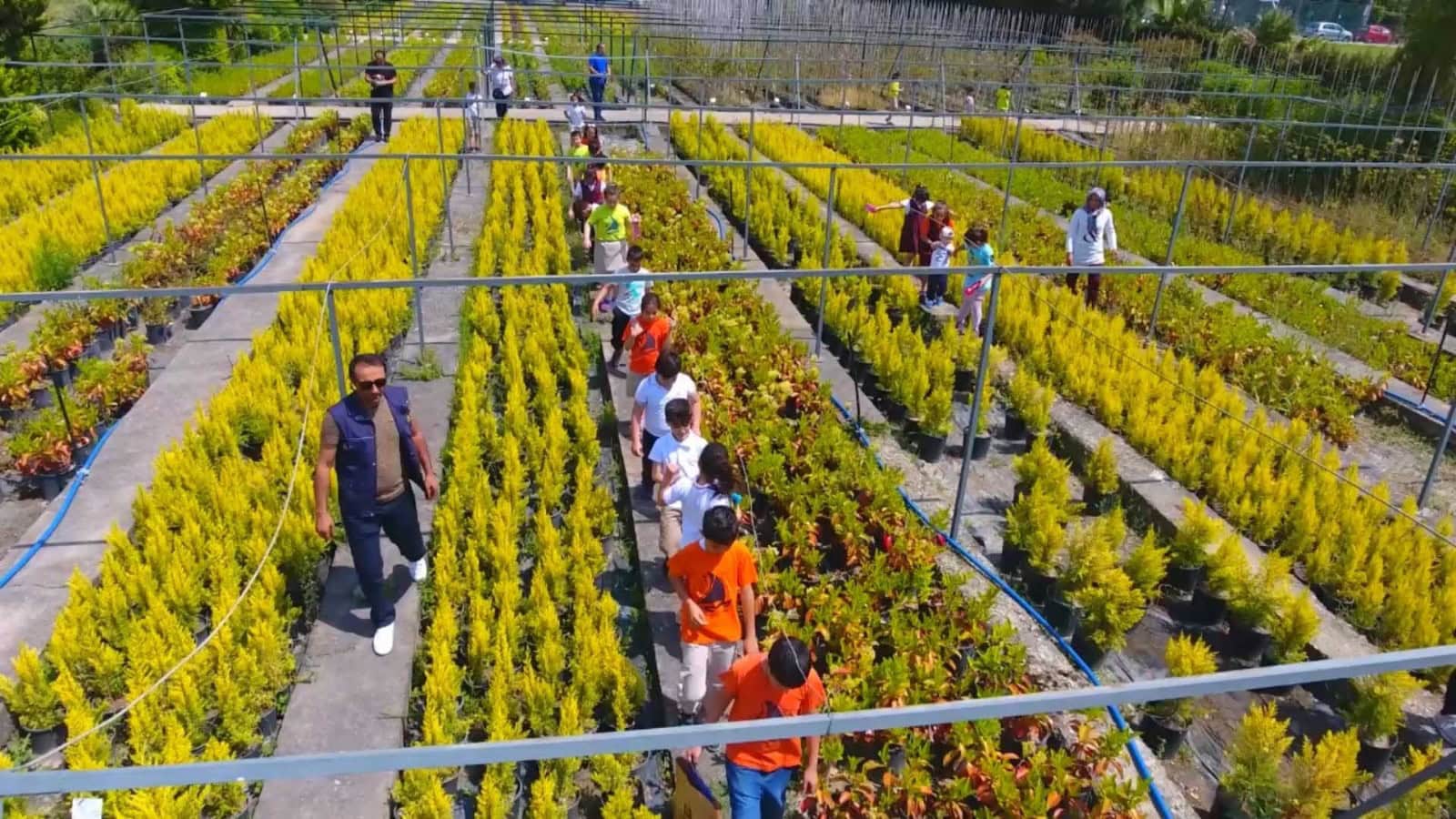 Şehrin kalbindeki 97 yıllık oksijen deposu