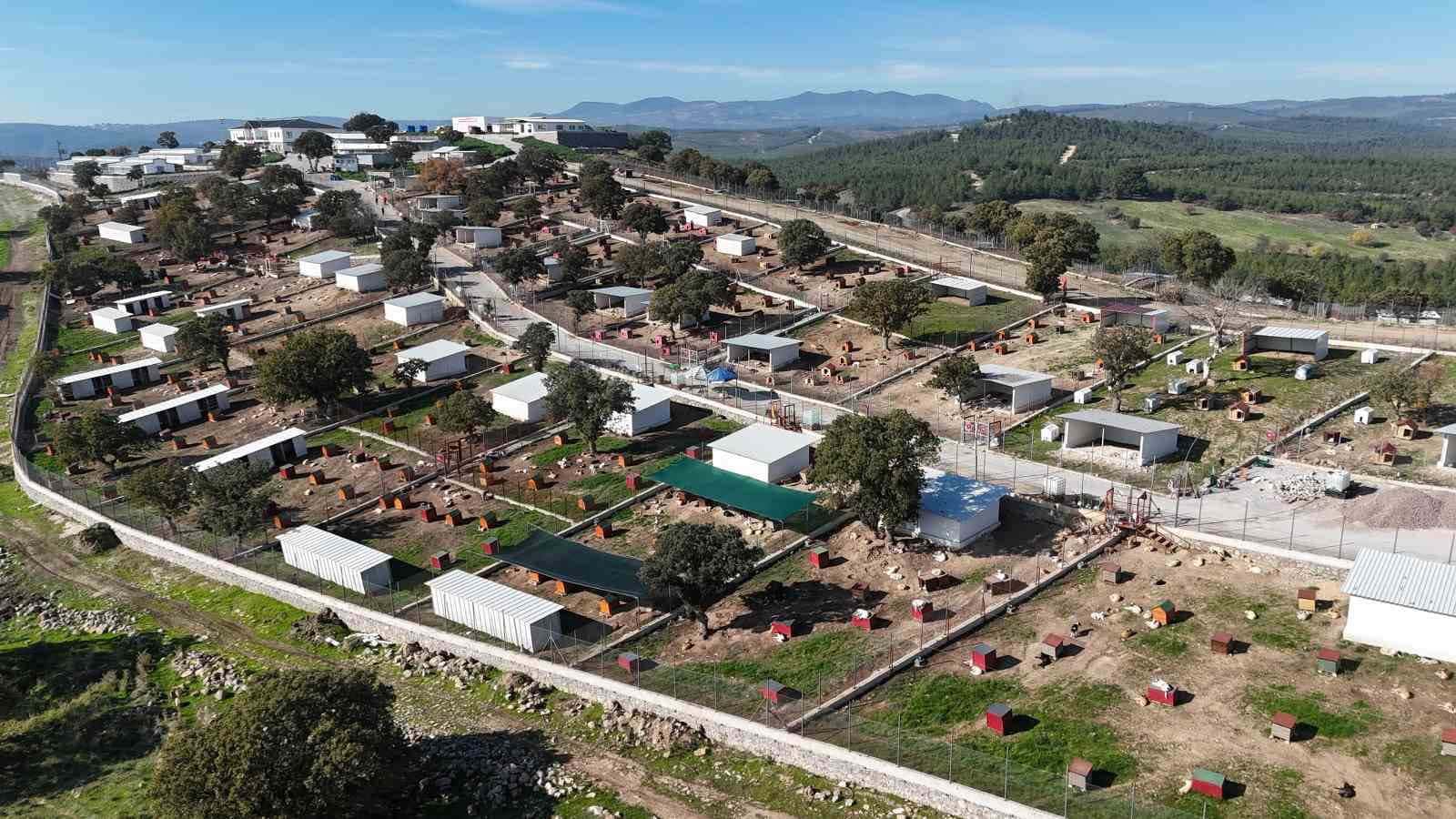 Yunusemre’de sokak hayvanları için örnek yaşam merkezi