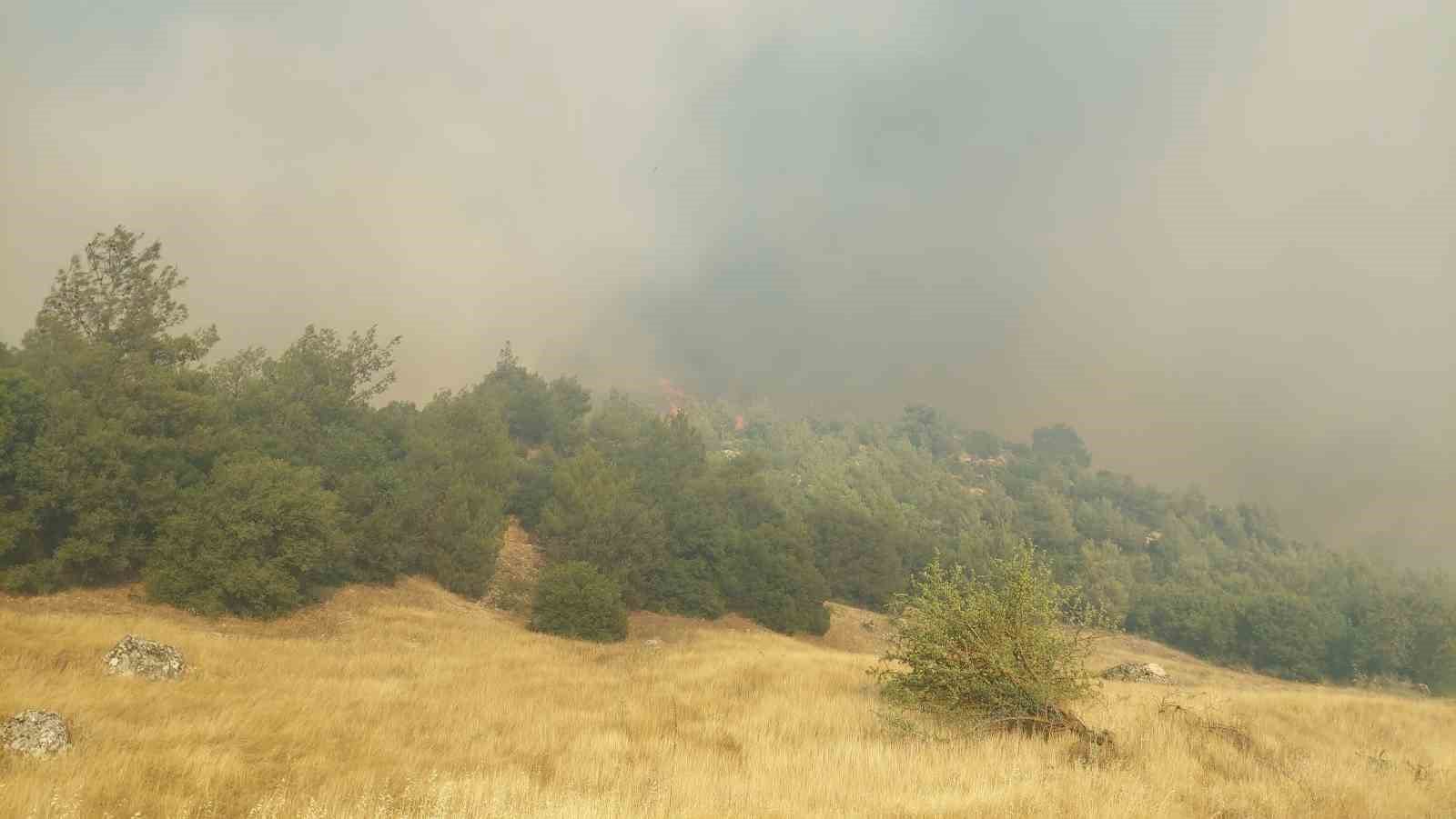 Kula’daki orman yangını için ekipler ve vatandaşlar seferber oldu