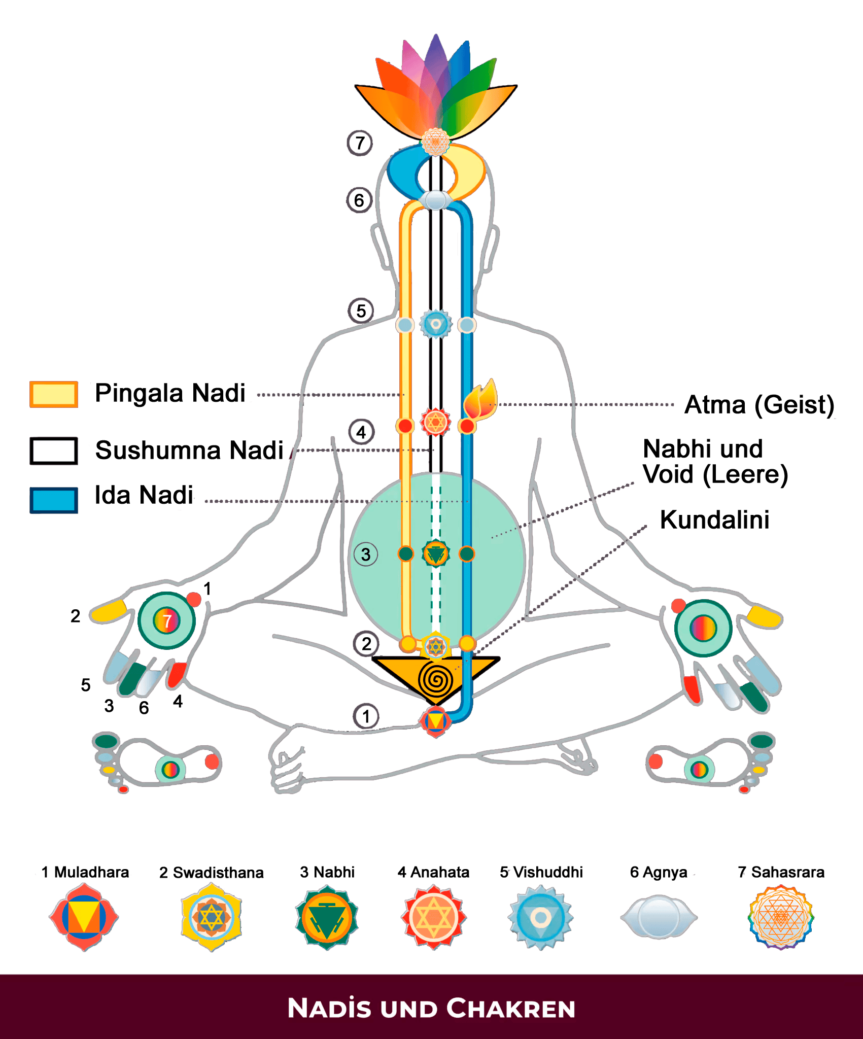 DE_Chakras-and-Nadis-1701x2048_de_4