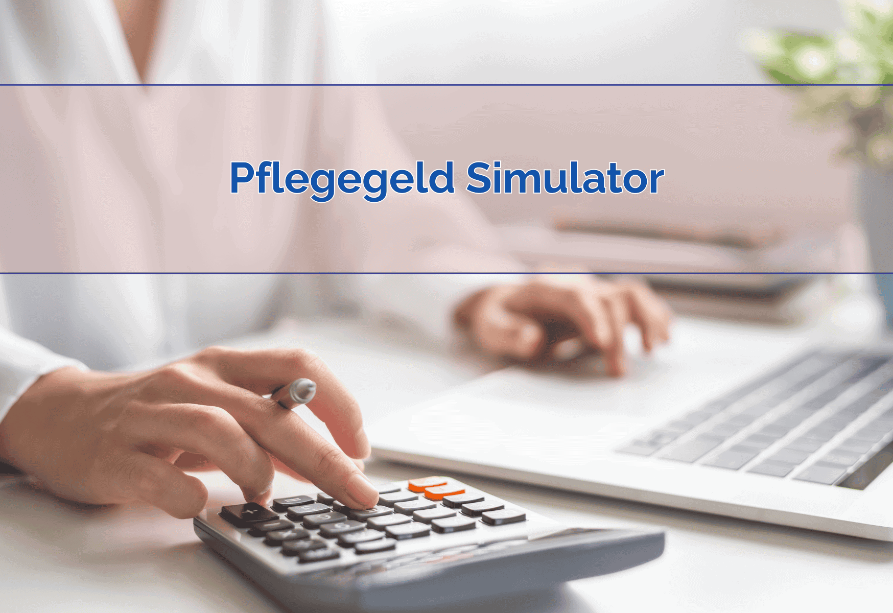 Pflegegeld Simulator