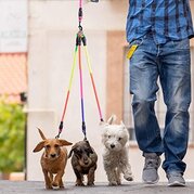 SlowTon Double Dog Leash Coupler, - Image 2