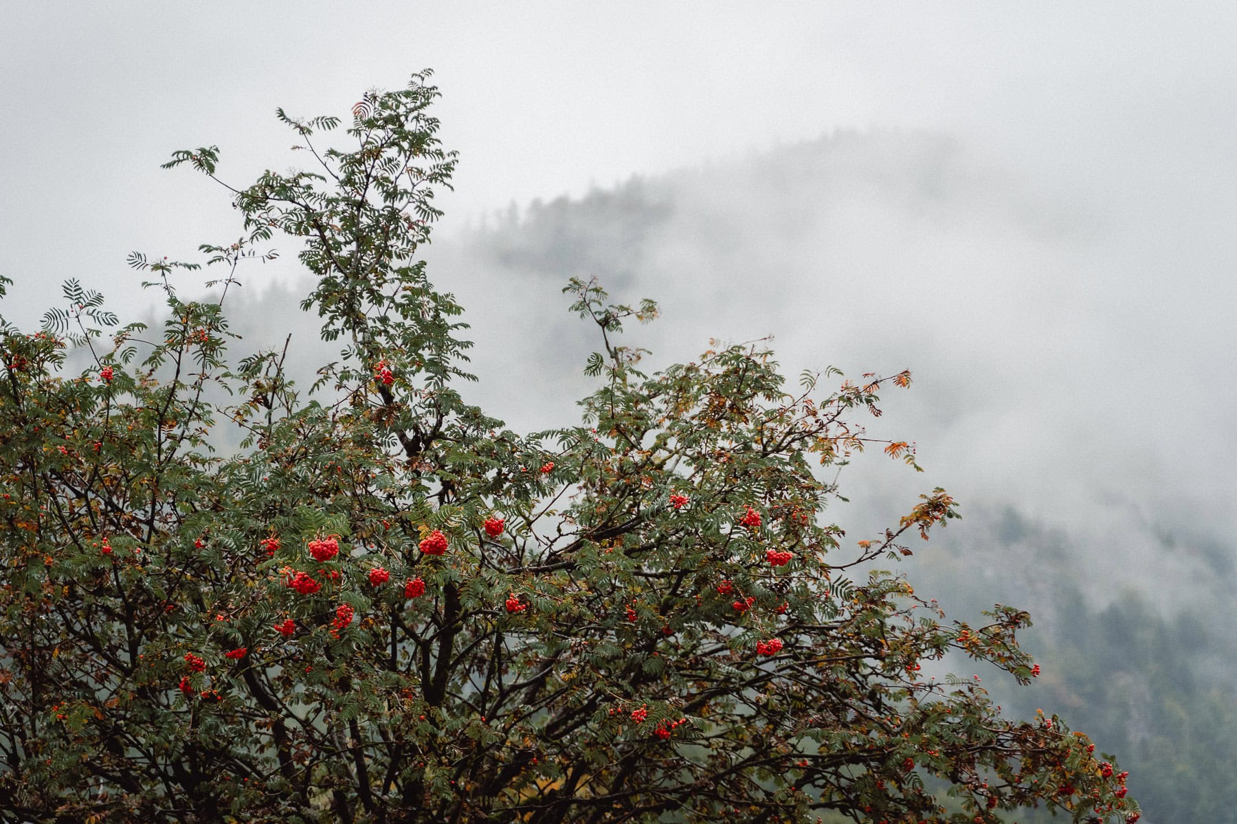 Hochzeitsfotograf-Ebensee-Gmunden-Vöcklabruck-Österreich©Veronika-Mittermair-photography-025