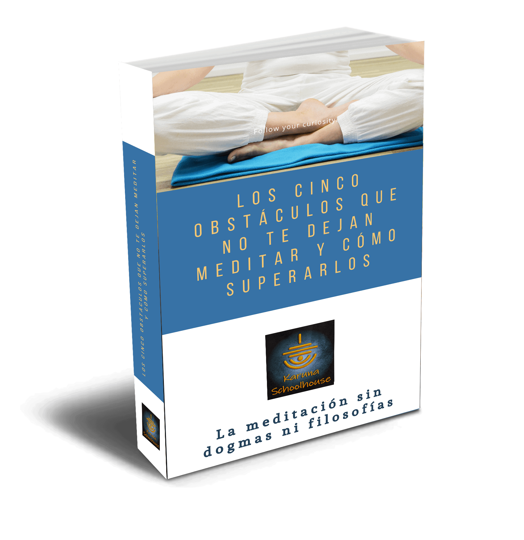 libro 5 obstaculos renovado