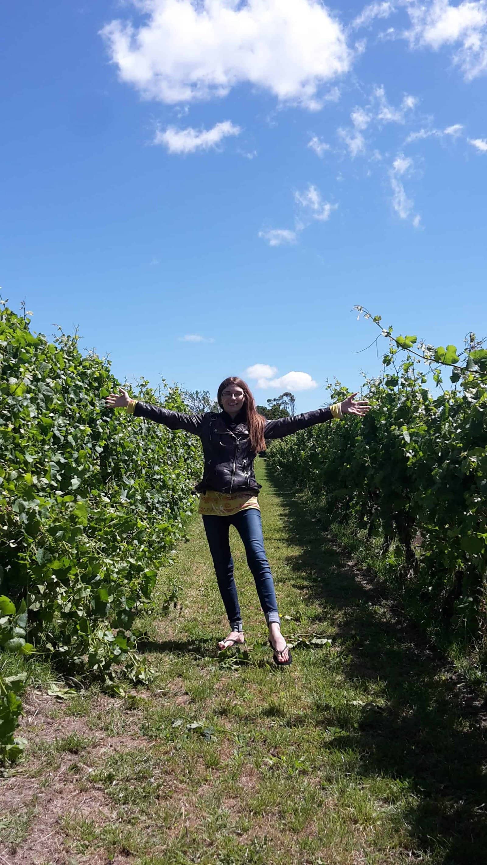 Vineyards in Wairarapa