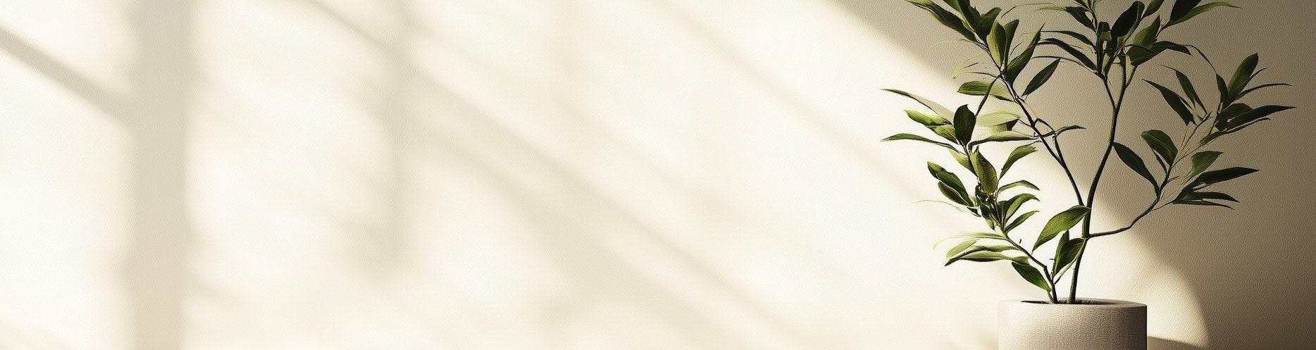shutterstock_2566302799 2566302799