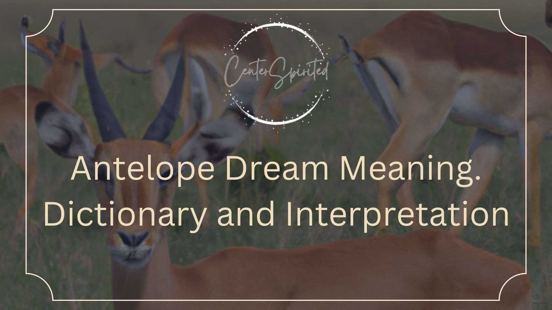 antelope dream meaning featured