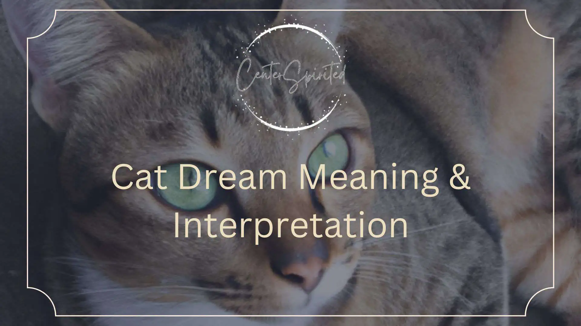 Cat Dream Meaning & Interpretation