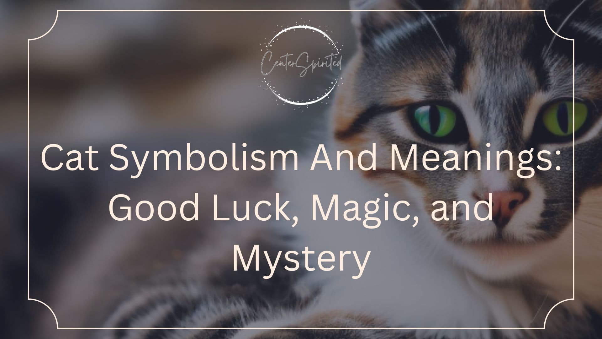 Cat Symbolism And Meanings Good Luck, Magic, and Mystery