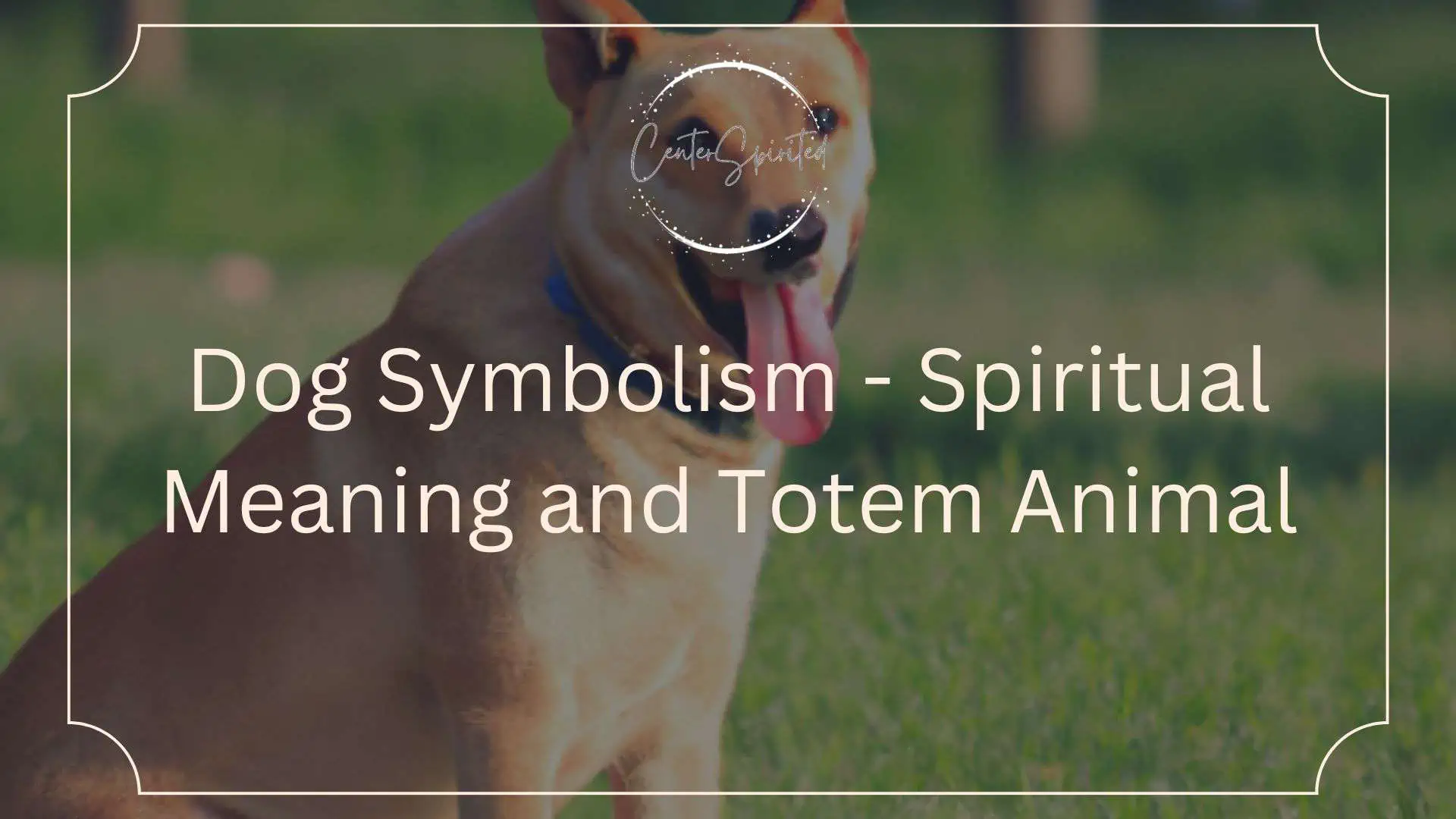 dog symbolism featured
