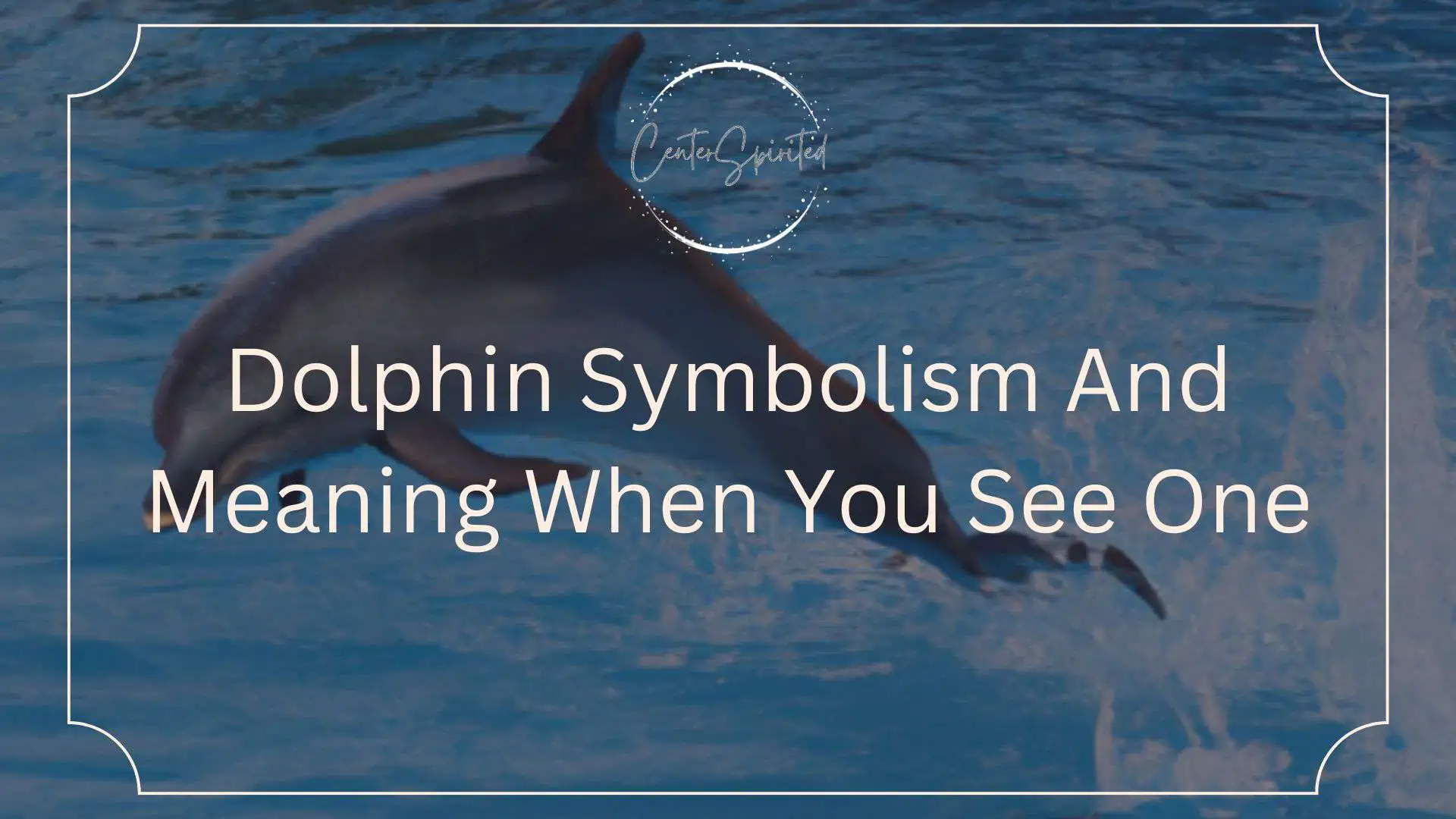dolphin symbolism featured