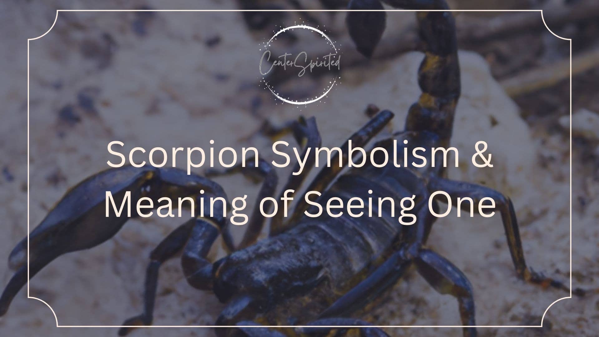 Scorpion Symbolism Meaning Of Seeing One scorpion-symbolism-meaning-of-seeing-one