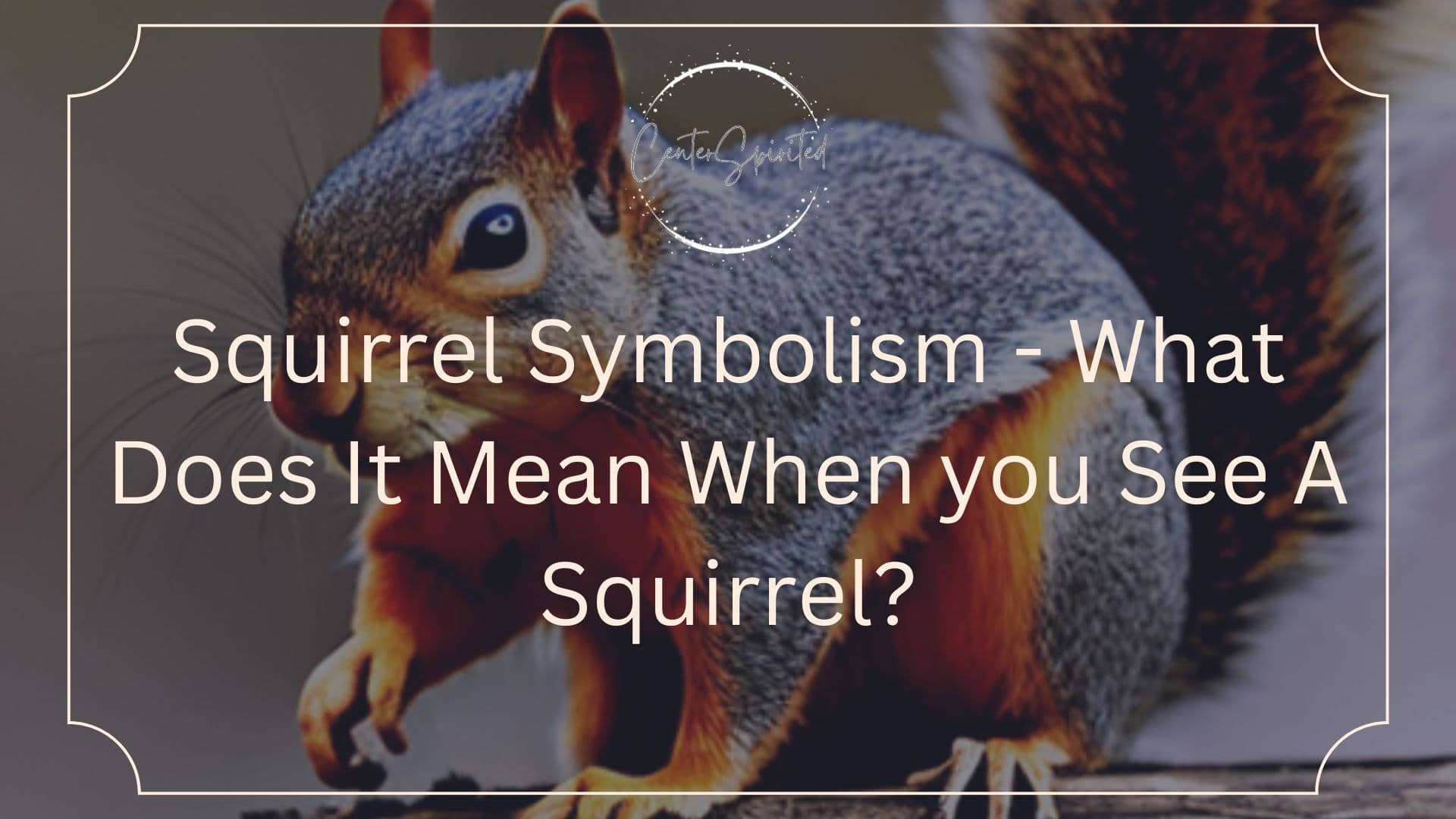 squirrel symbolism featured
