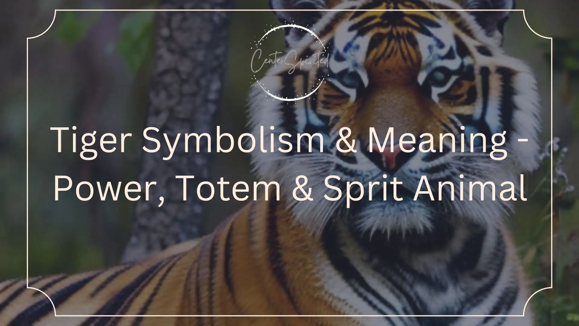 tiger symbolism featured
