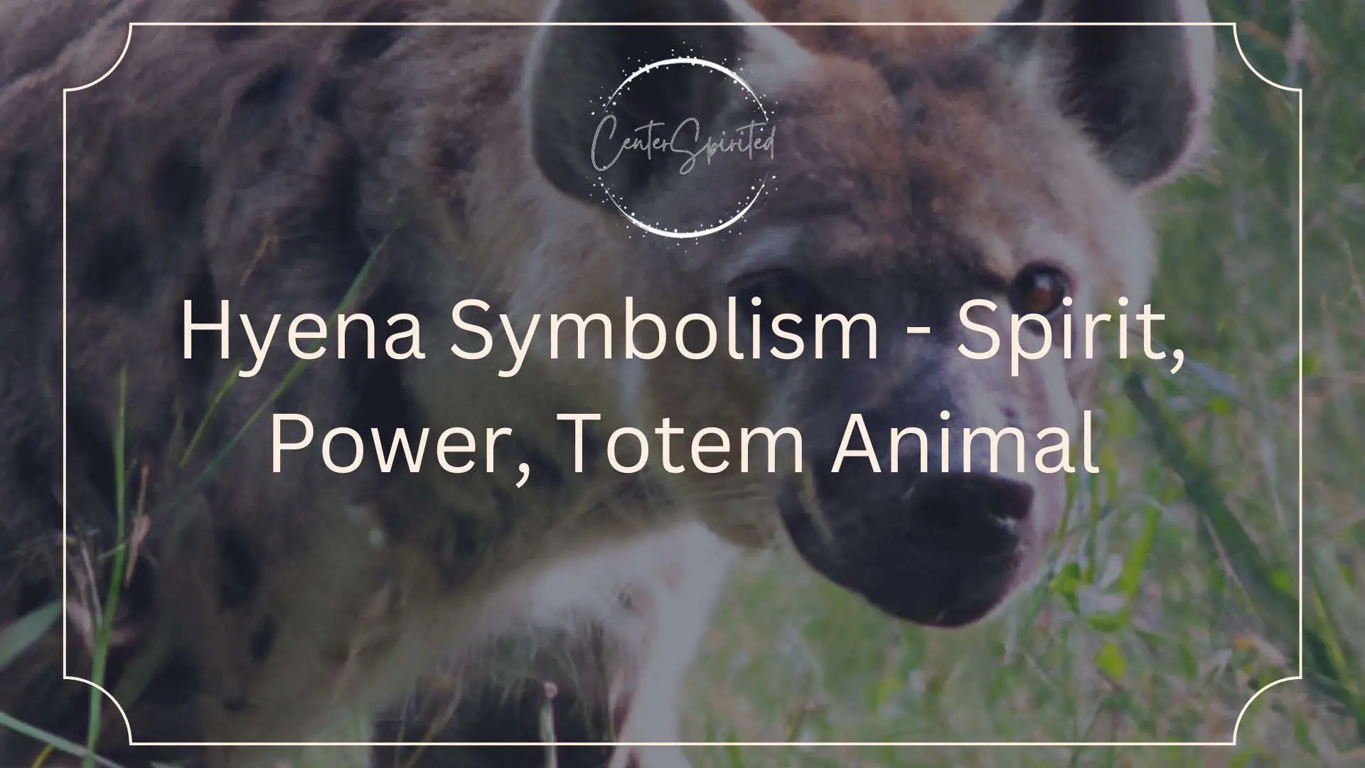 hyena symbolism featured