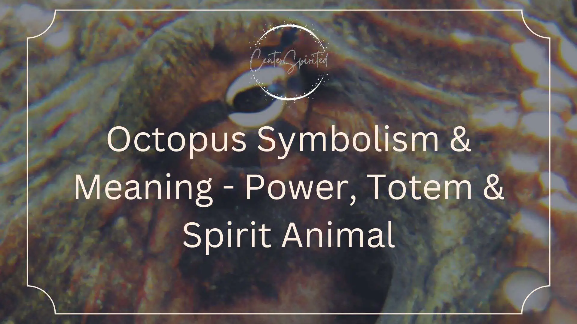octopus symbolism featured