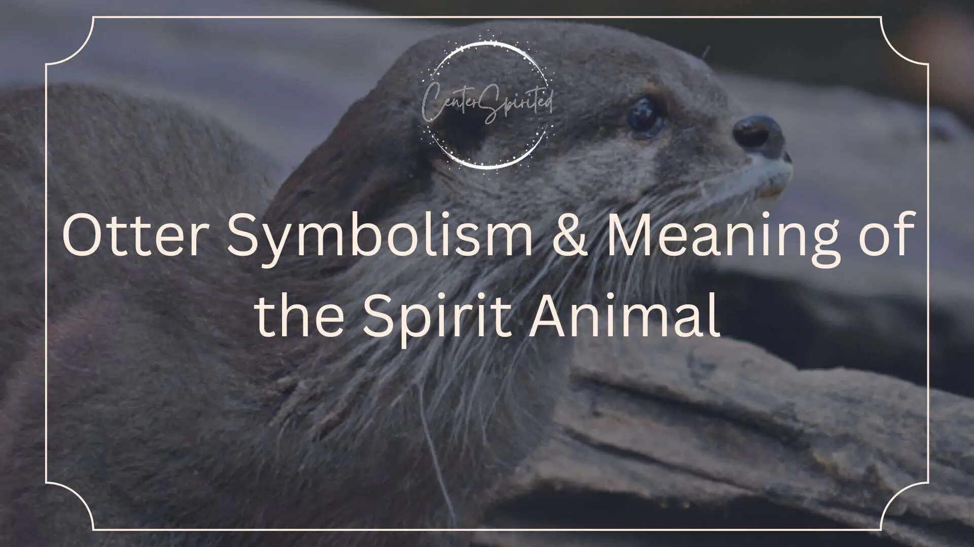 otter symbolism featured
