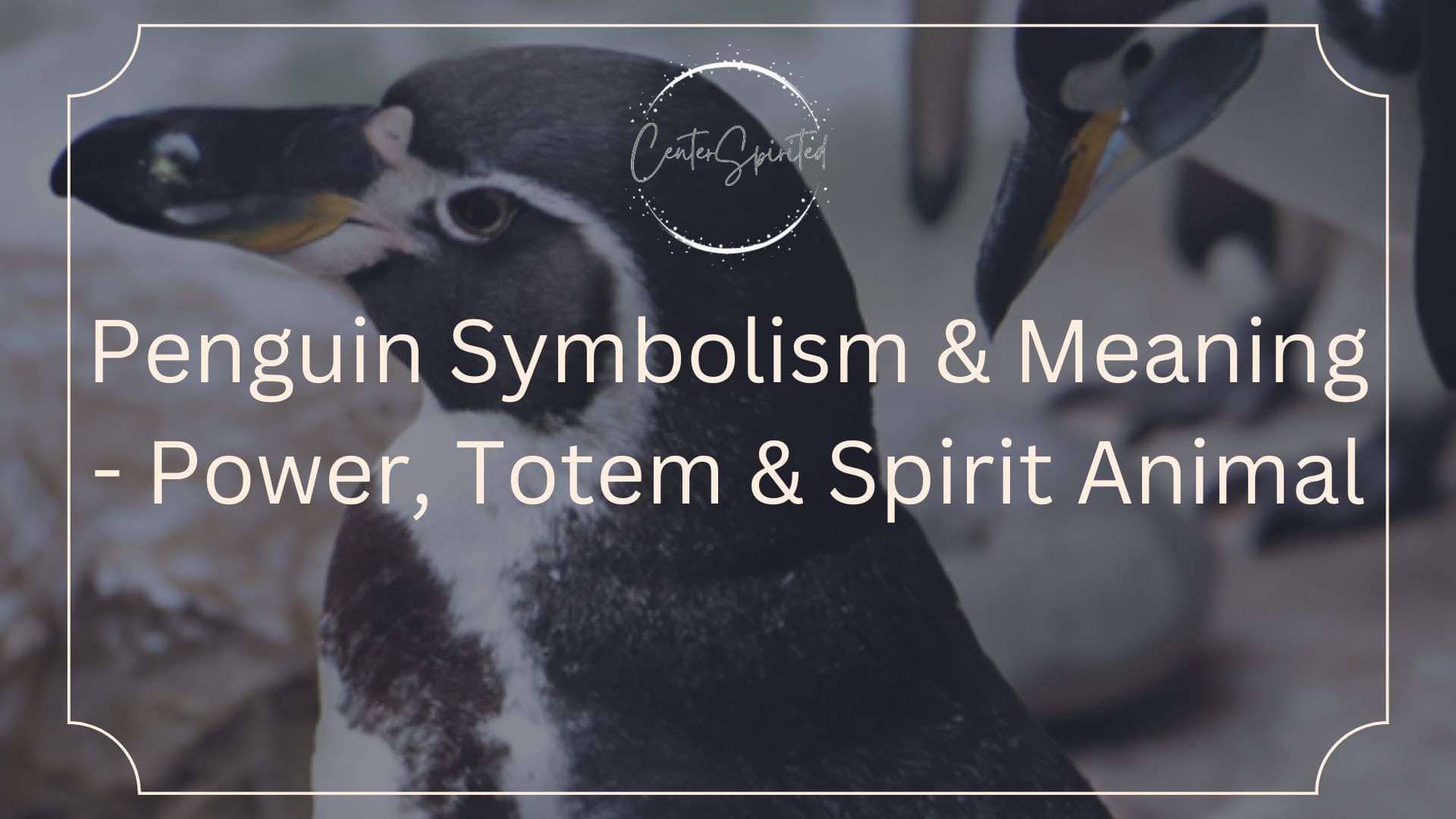 penguin symbolism featured