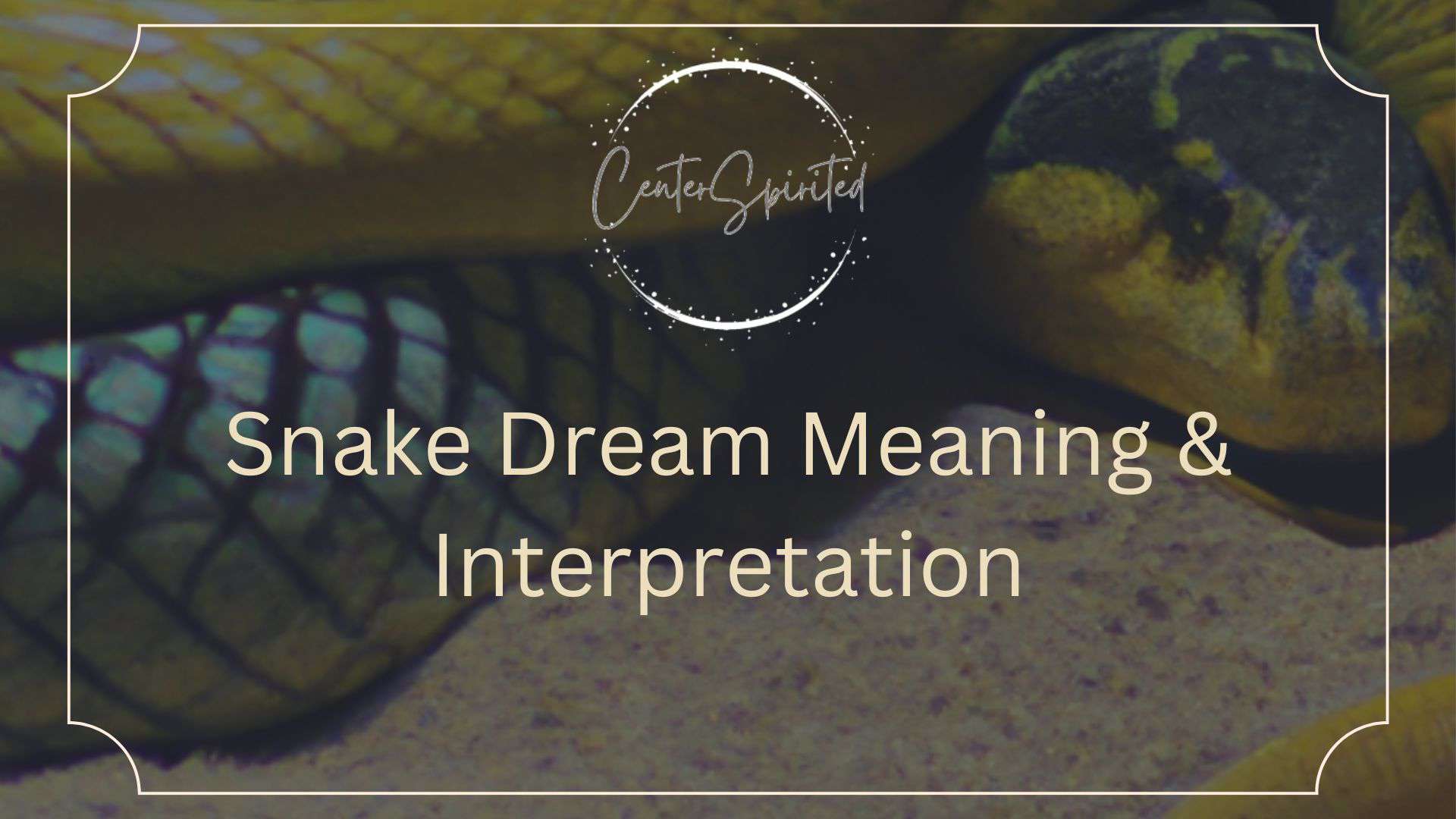 snake dream meaning featured