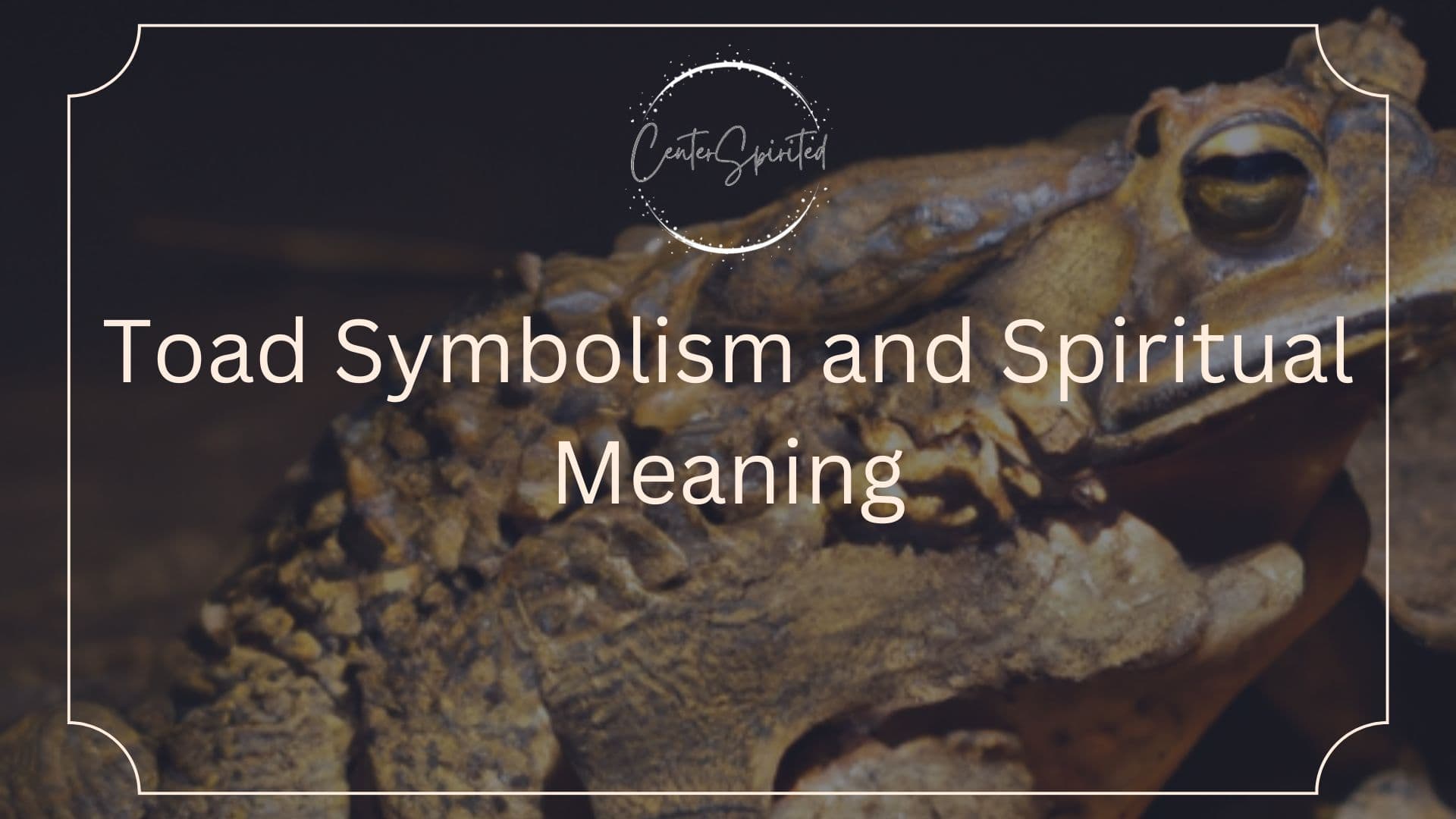 toad symbolism featured