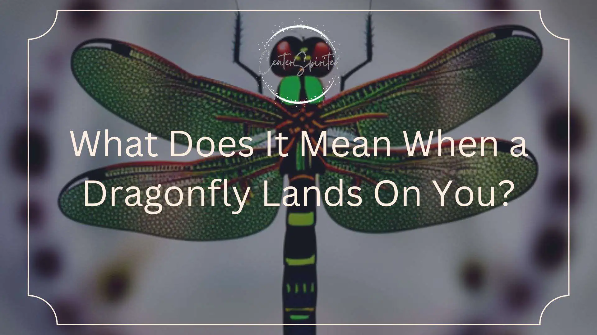 What Does It Mean When a Dragonfly Lands On You featured